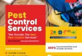 Pest Control Services Ajmer