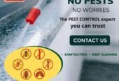 Rajasthan Pest Control Services Pvt Ltd