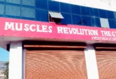 Muscles revolution THE GYM